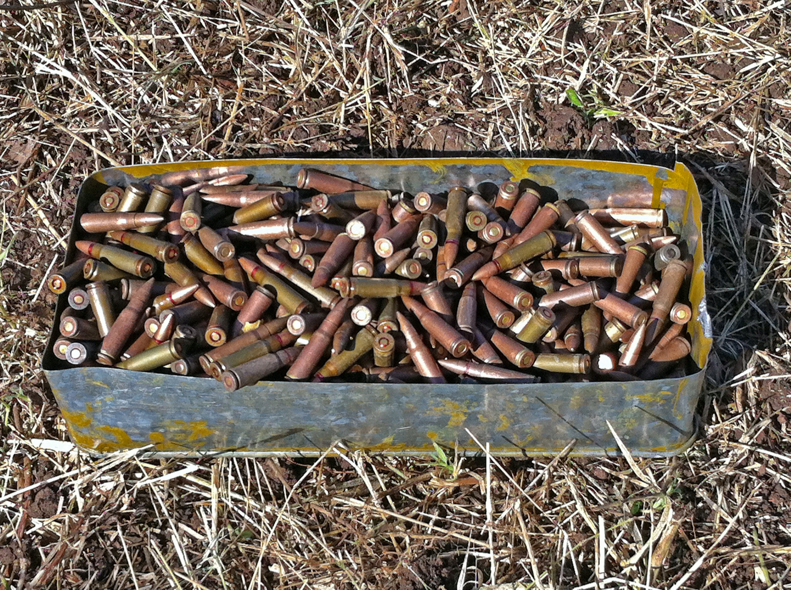 A metal box filled to the top with unspent bullets.
