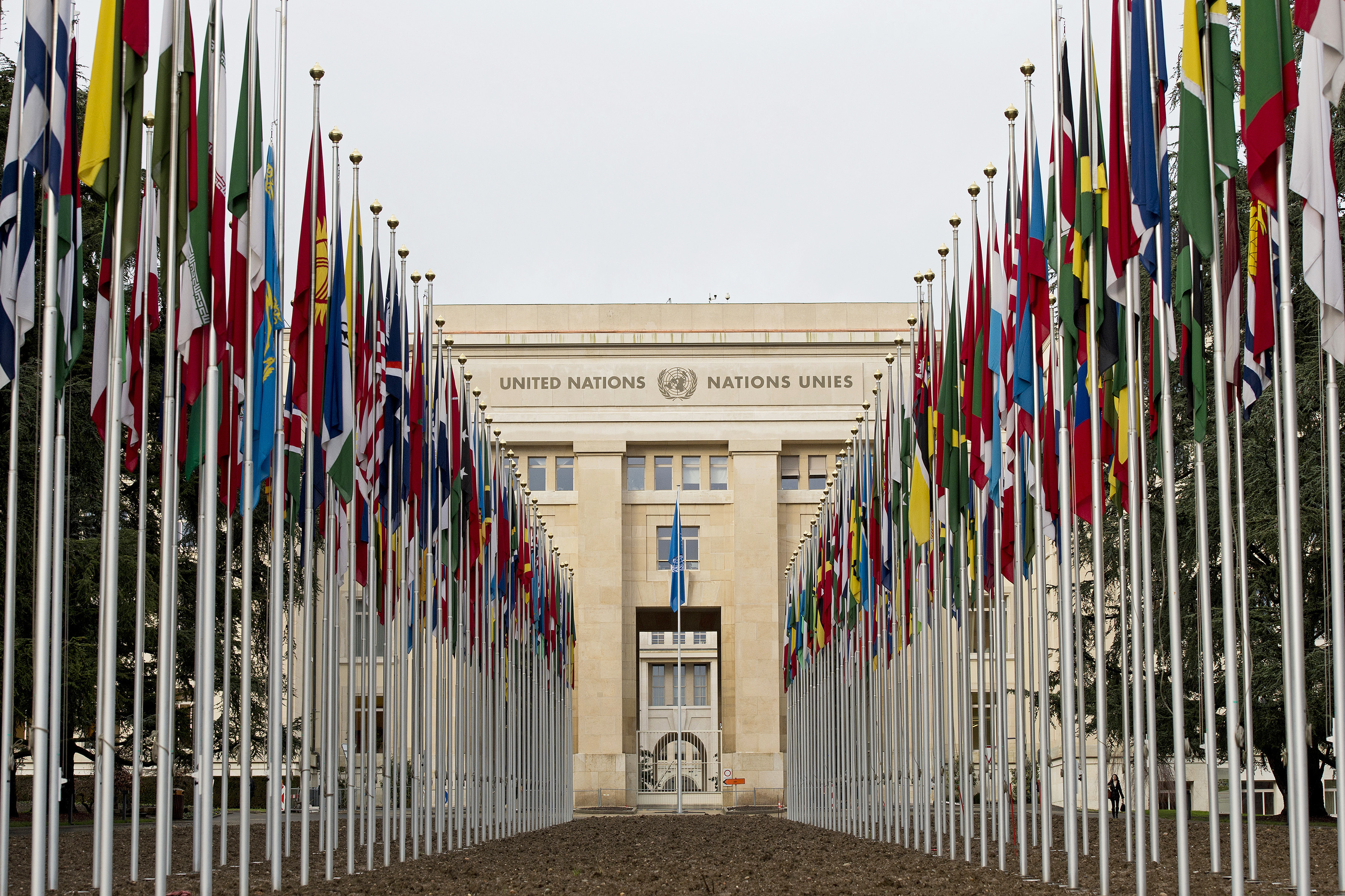 Front view of the United Nations with flags of each member nation on the left and right of the pathway.
